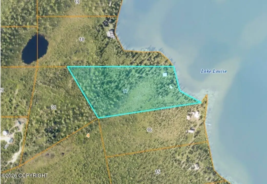 L17 Lake Louise, Glennallen, AK 99588 - #1