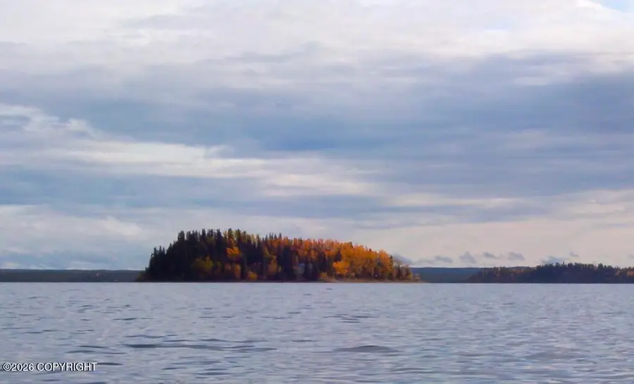 L20 Lake Louise, Glennallen, AK 99588 - #3