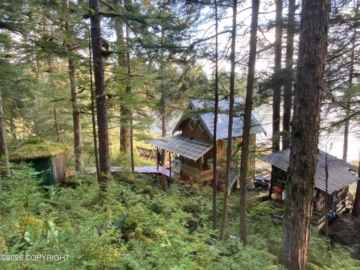 51 Twelve Mile Road, Petersburg, AK 99833 - #1