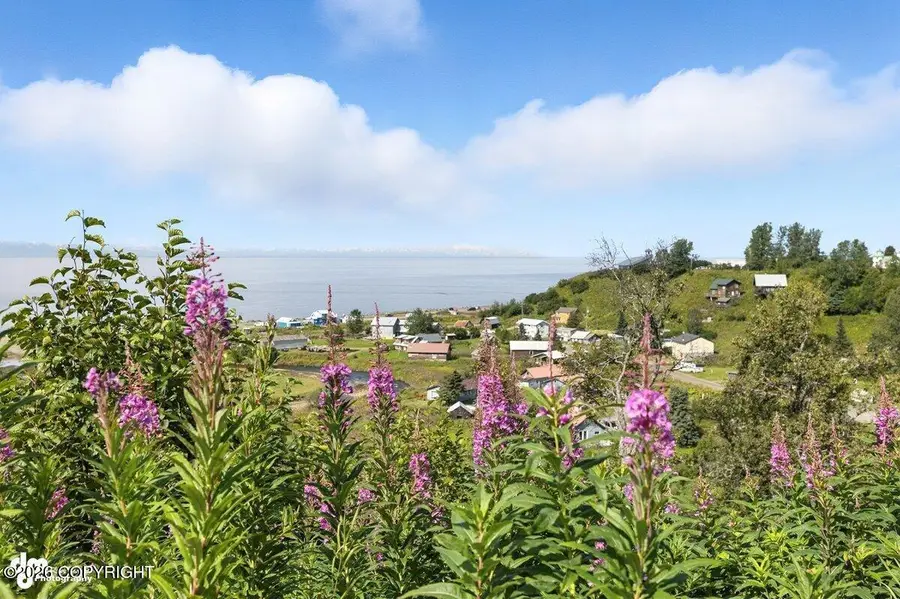 15519 Sterling Highway, Ninilchik, AK 99639 - #3