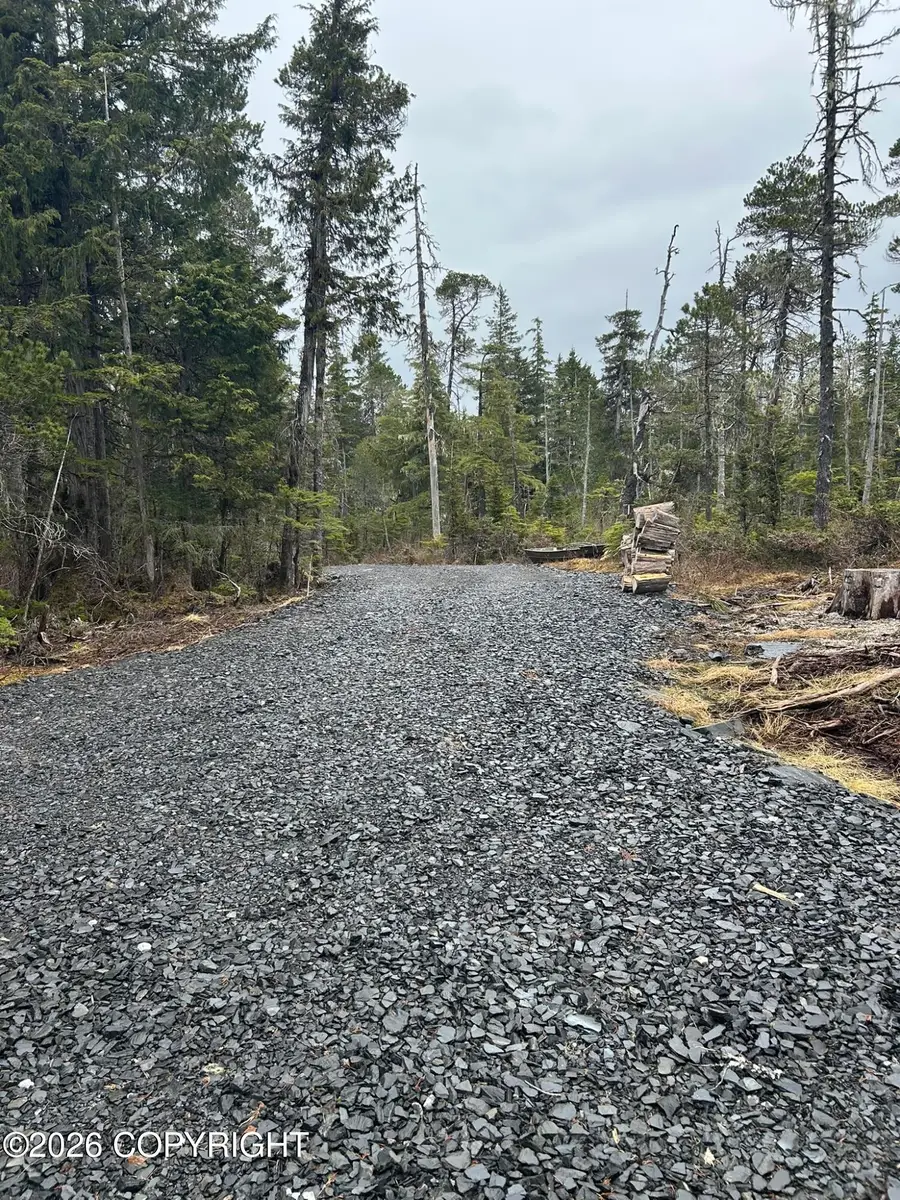 125 & 226 Frederick Drive, Petersburg, AK 99833 - #2