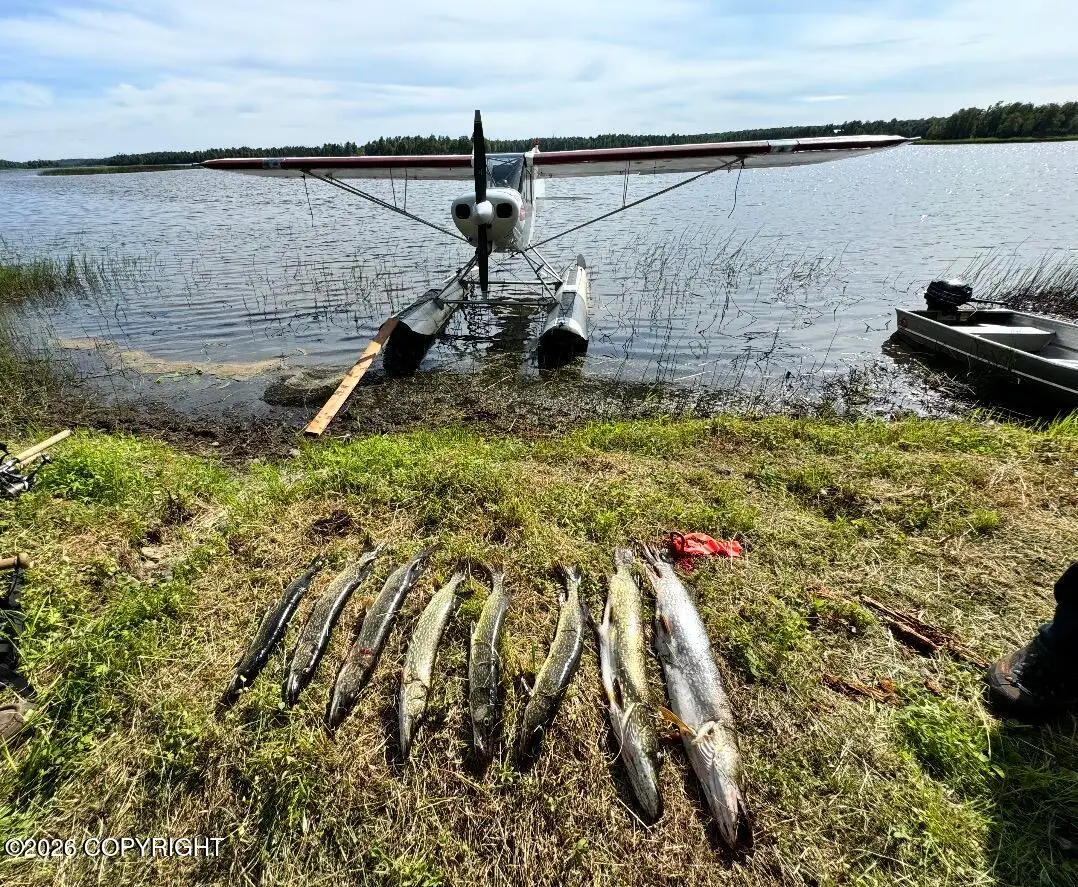 000 Trapper Lake, Willow, AK 99688 - #1