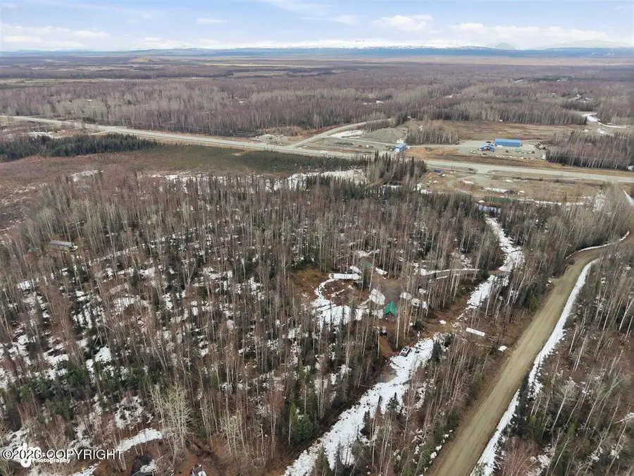 24483 W Lucky Shot Trail, Willow, AK 99688 - #2
