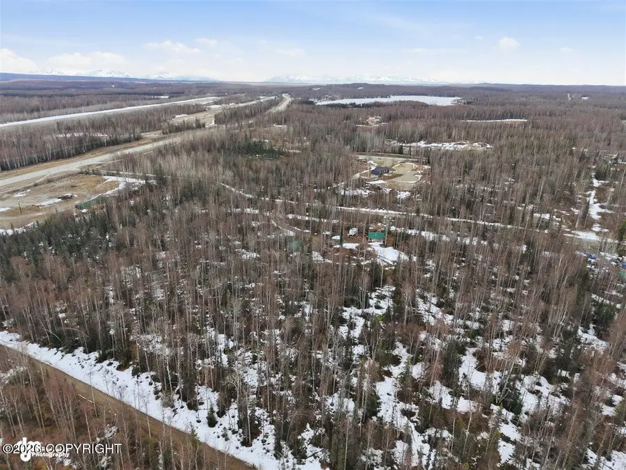 24483 W Lucky Shot Trail, Willow, AK 99688 - #3
