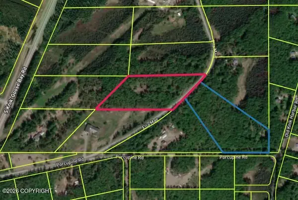 12806 S Ella Louise Circle, Big Lake, AK 99623
