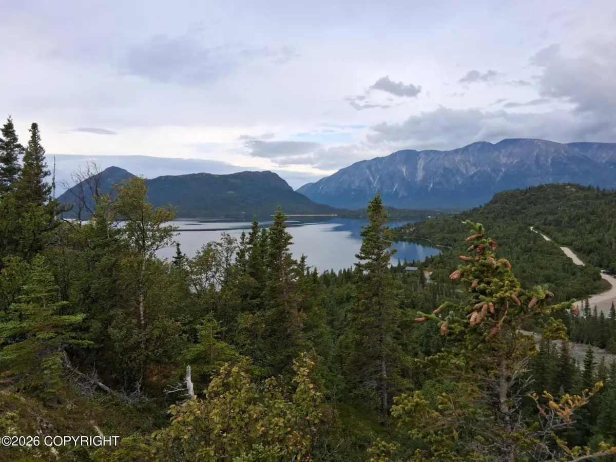 L1 Russian Creek, Iliamna, AK 99606 - #1