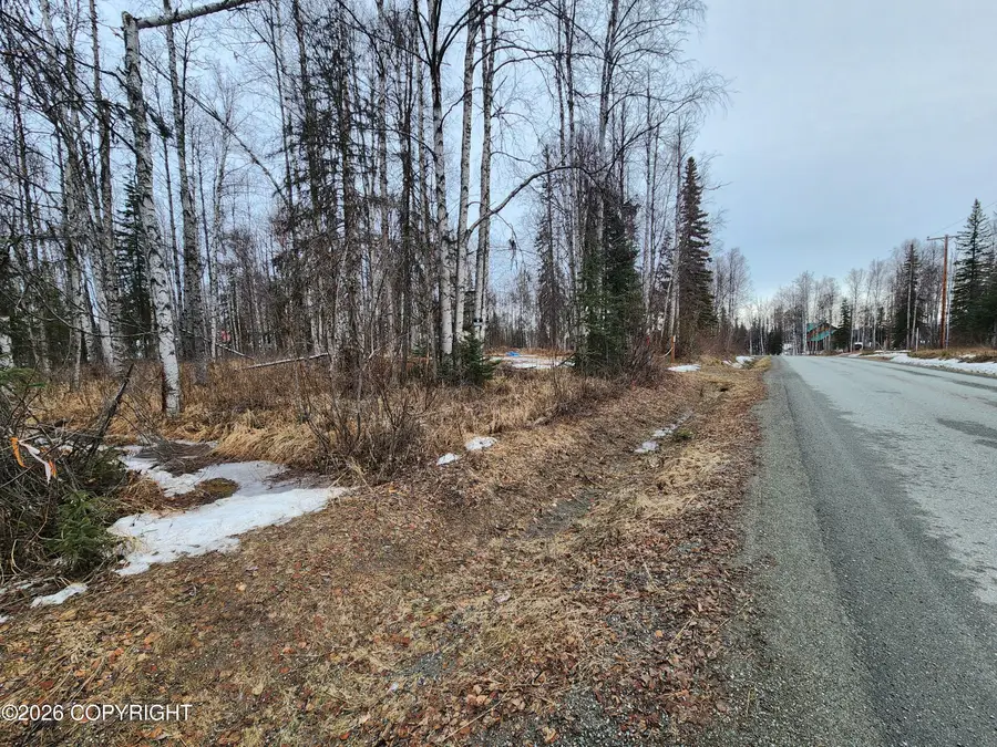 14034 N Lakeshore Drive, Willow, AK 99688 - #2