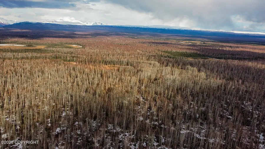 C001 Crop Circle, Willow, AK 99688 - #3