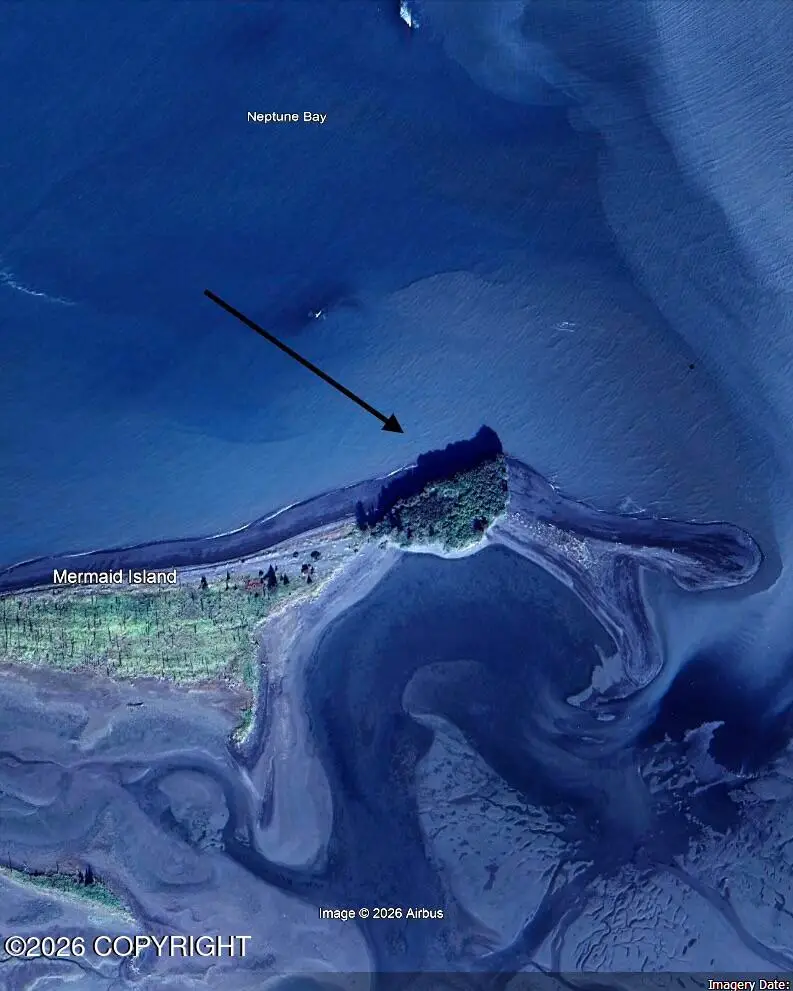 000 Neptune Bay, Homer, AK 99603 - #1