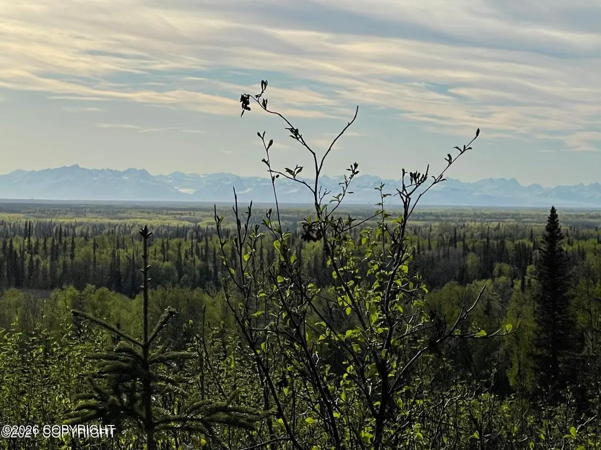 40745 Frogberry Street, Kenai, AK 99611 - #1