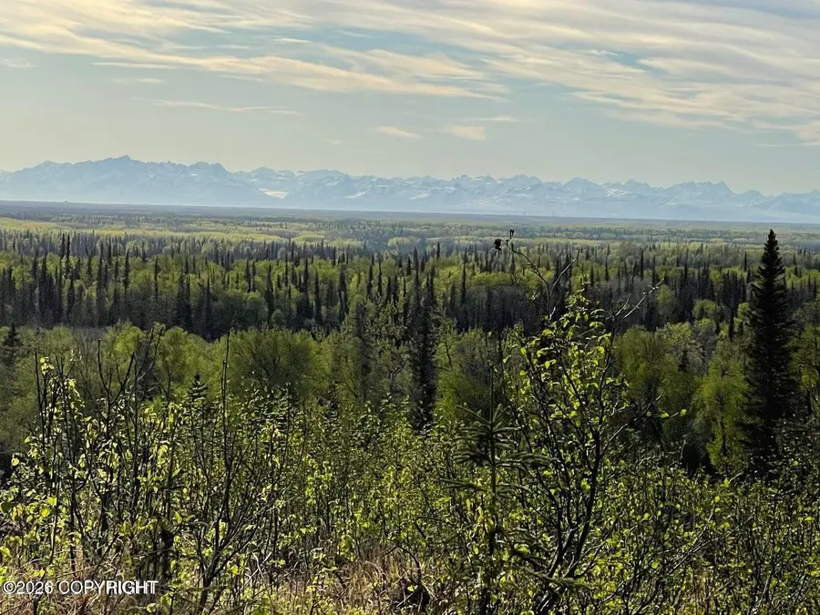 40745 Frogberry Street, Kenai, AK 99611 - #3