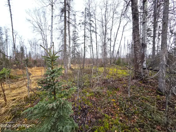 17669 E Yeldarb Avenue, Talkeetna, AK 99676