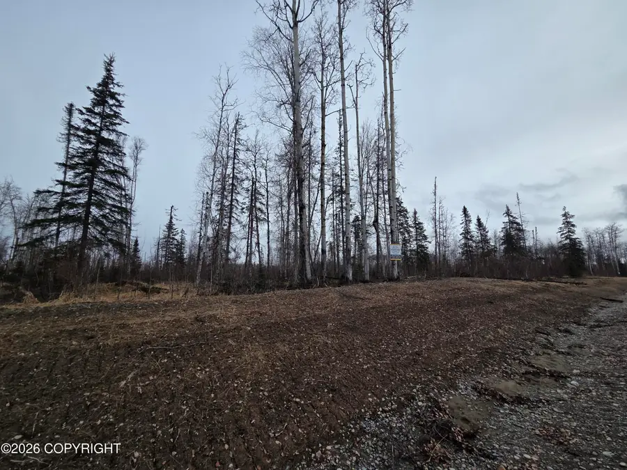 17669 E Yeldarb Avenue, Talkeetna, AK 99676 - #3