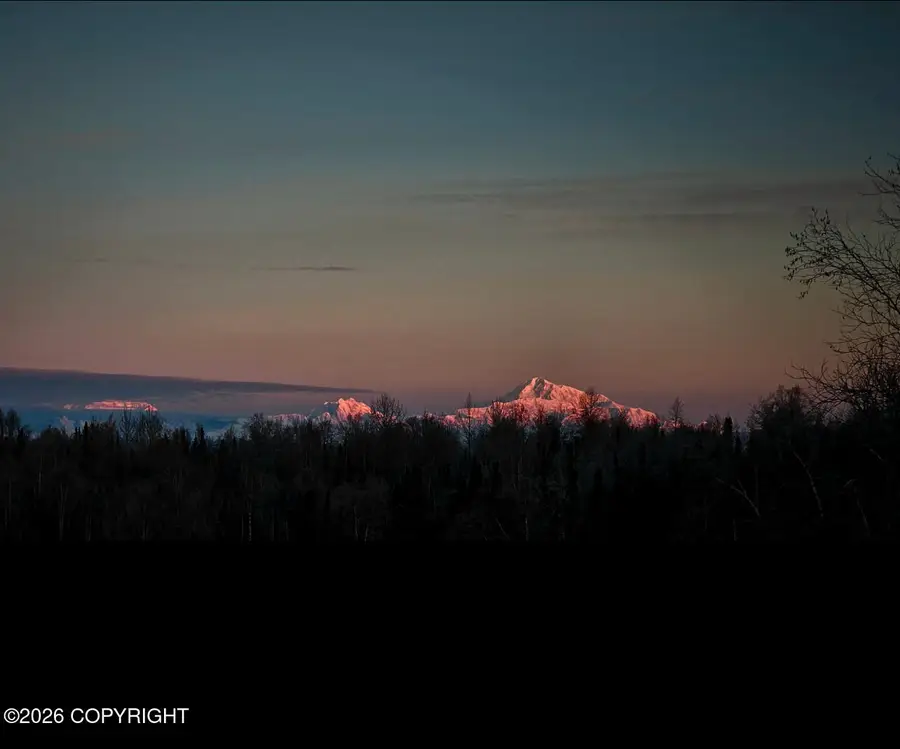 50735 S Silver Salmon Drive, Willow, AK 99688 - #2