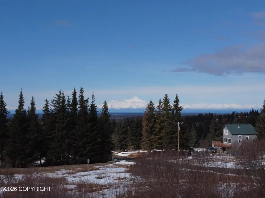 64427 Trail Road, Anchor Point, AK 99556 - #2