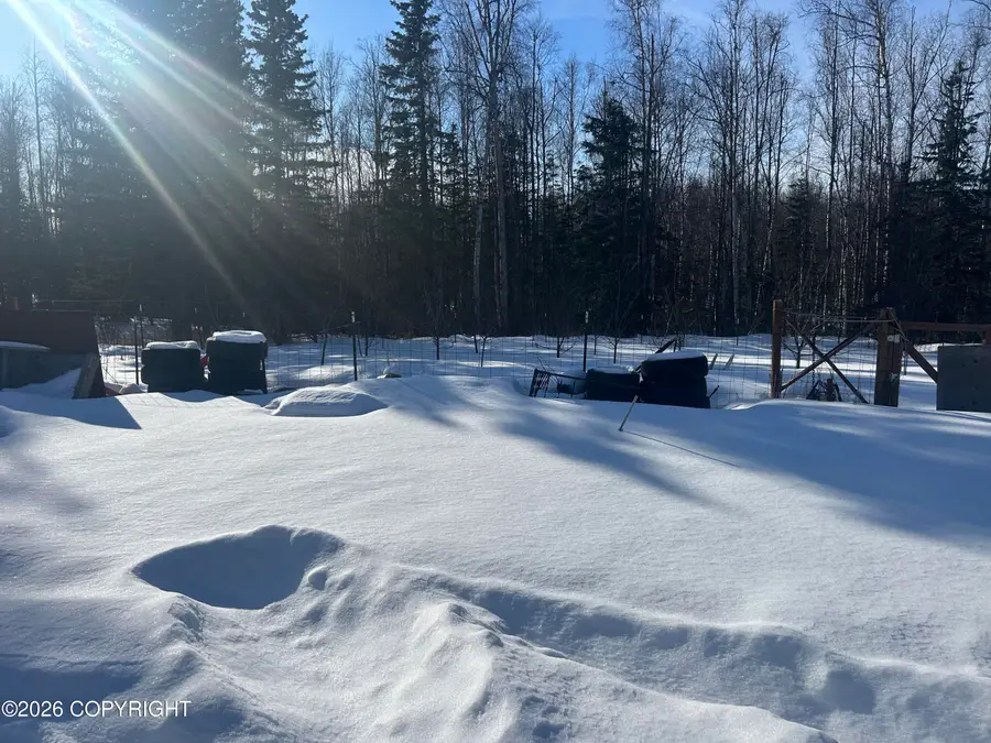6305 W Limberlost Circle, Wasilla, AK 99623 - #3
