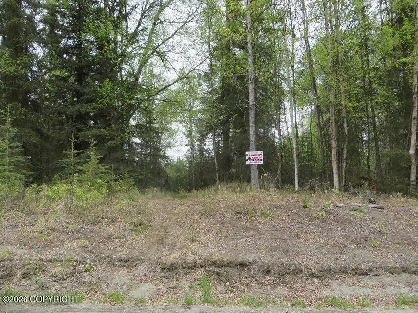 1315 Muskrat Way, Kenai, AK 99611 - #1