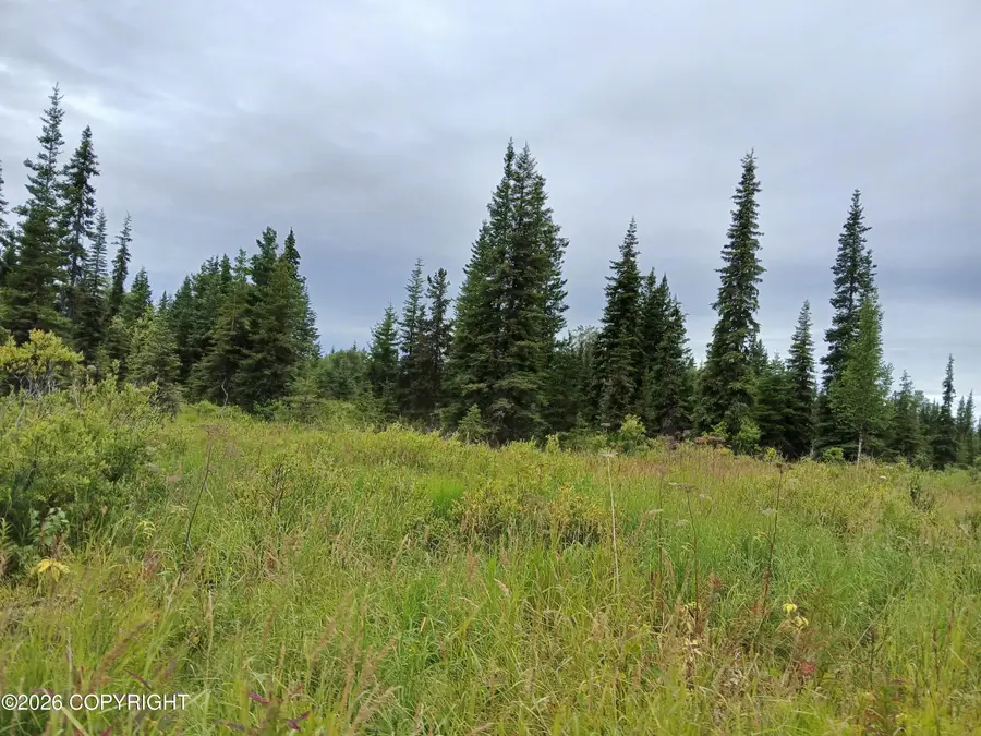 L17 Marik Street, Anchor Point, AK 99556 - #2