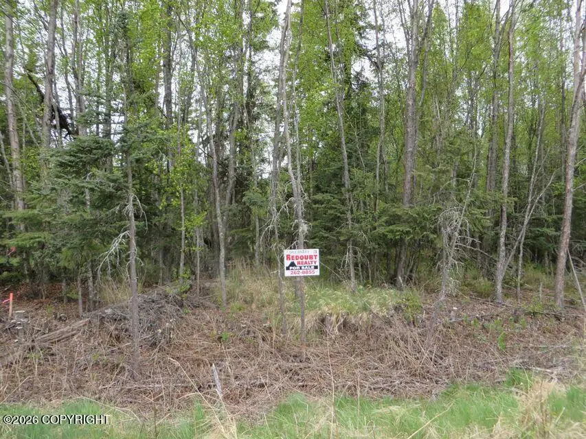2710 Wildwood Drive, Kenai, AK 99611 - #1