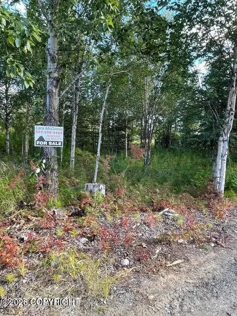 25850 Stinkbug Street, Happy Valley, AK 99556 - #1