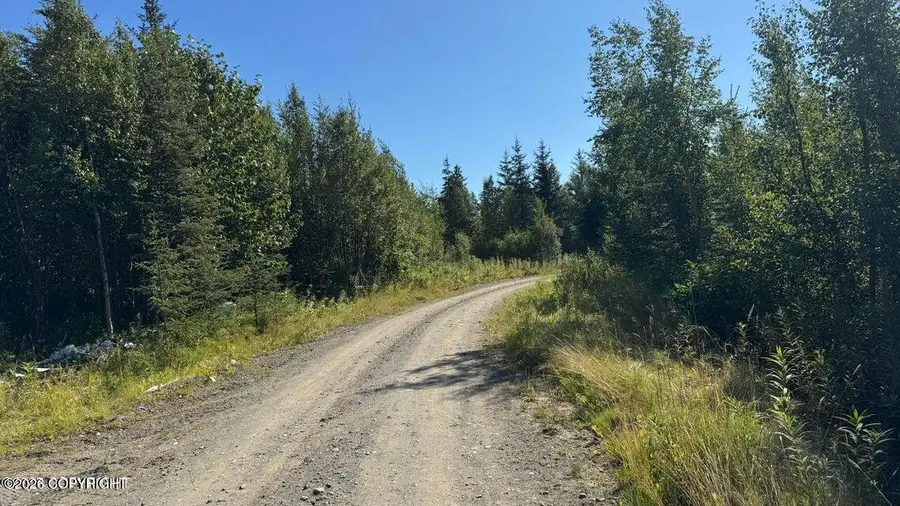 25850 Stinkbug Street, Happy Valley, AK 99556 - #2