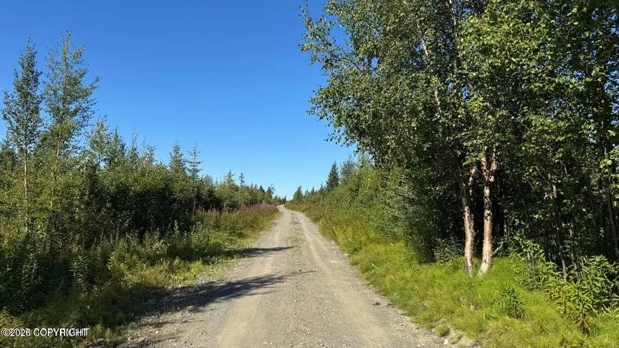 25850 Stinkbug Street, Happy Valley, AK 99556 - #3