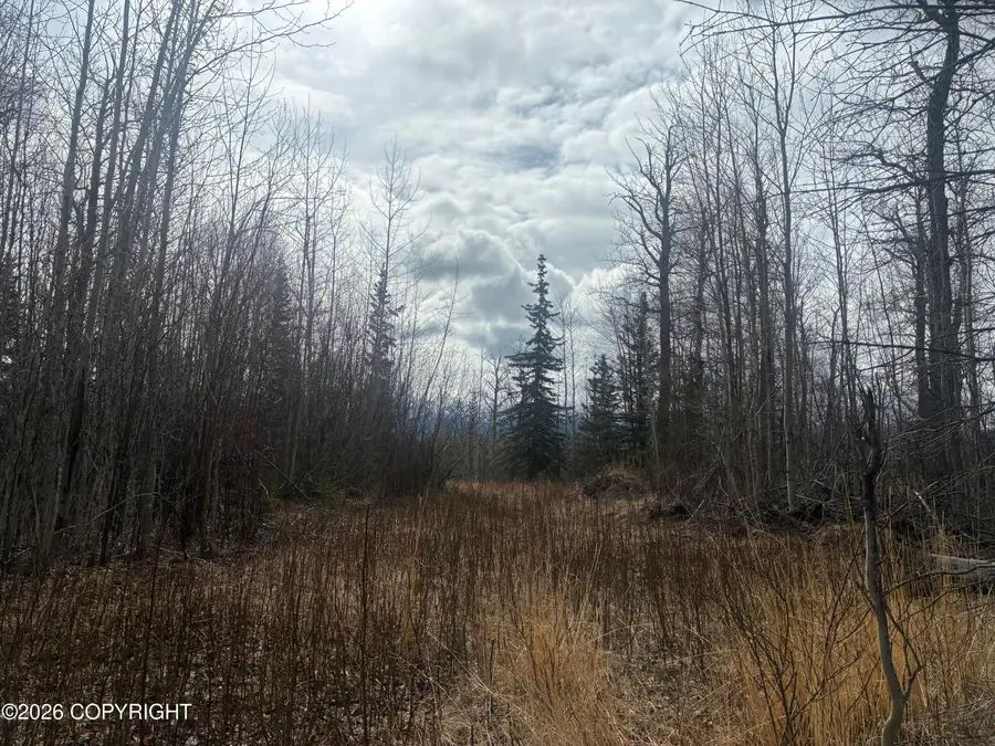 8898 E Garrett Woodson Drive, Palmer, AK 99645 - #2