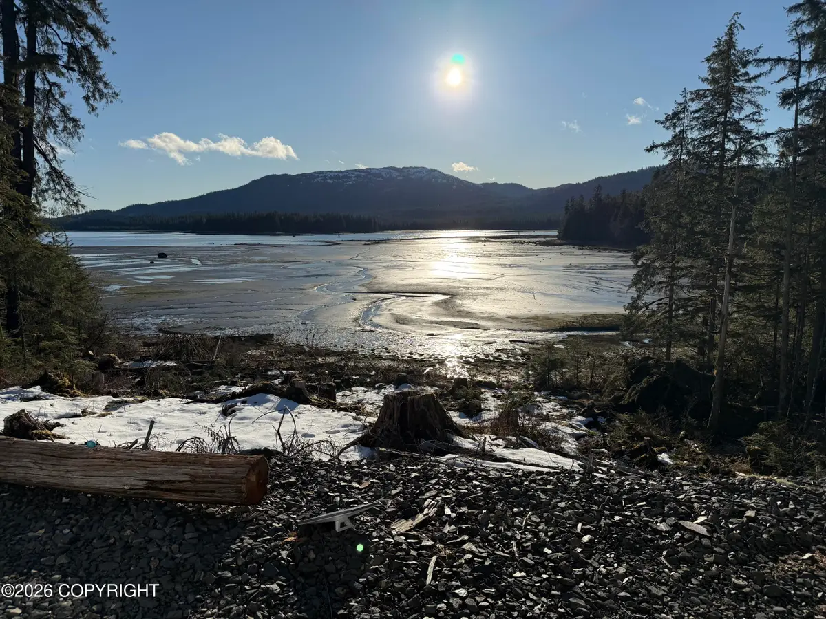 Lot 3 Libby Lane, Petersburg, AK 99833 - #1