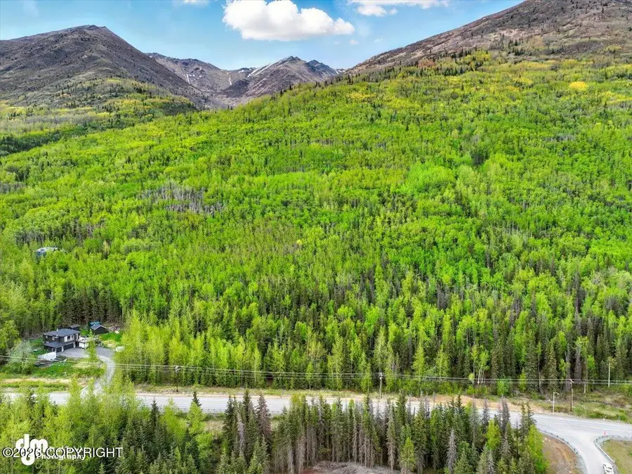 L12 Overlook Estates, Eagle River, AK 99577 - #2
