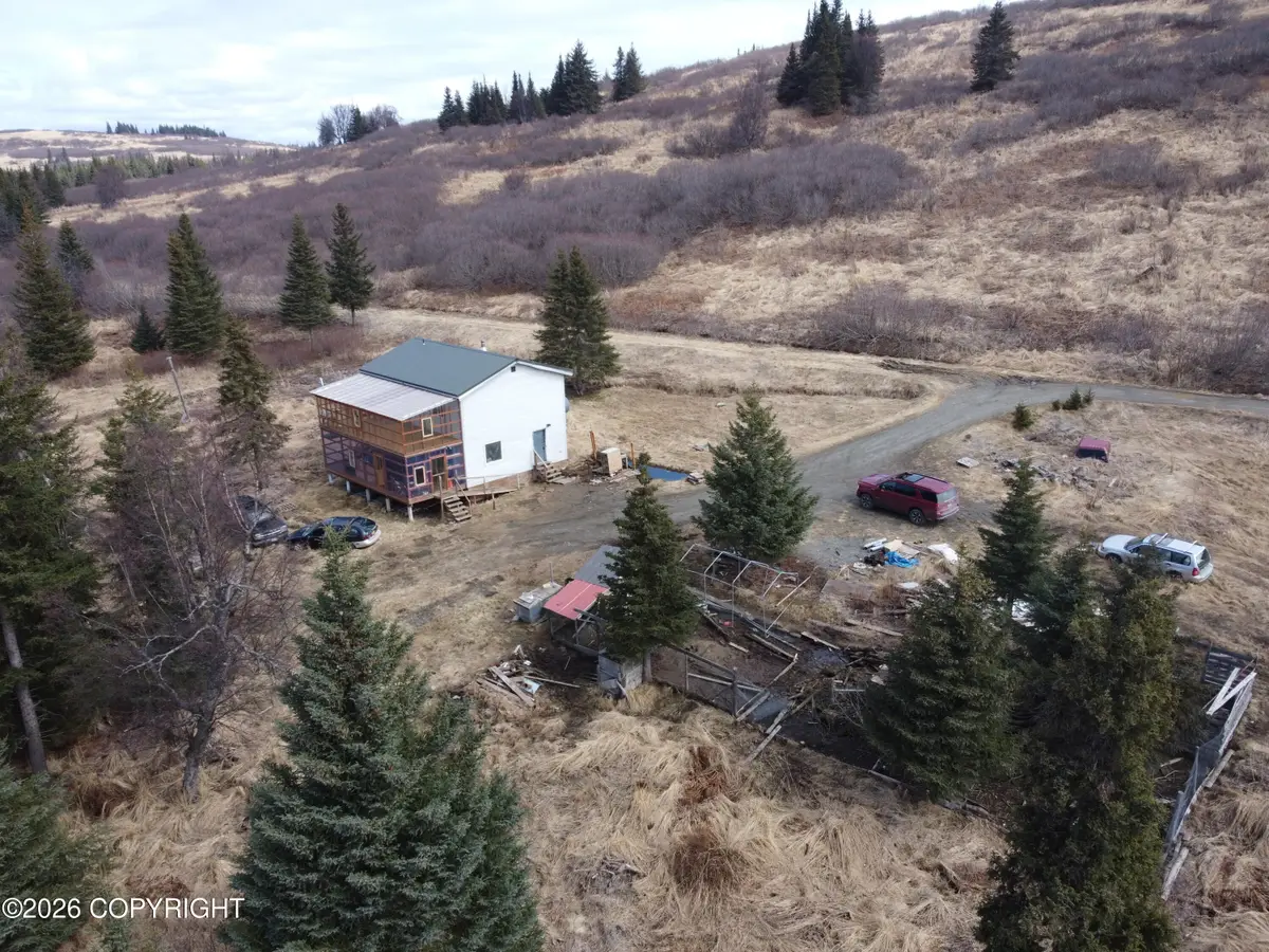 31779 Podgorna Place, Anchor Point, AK 99556 - #1