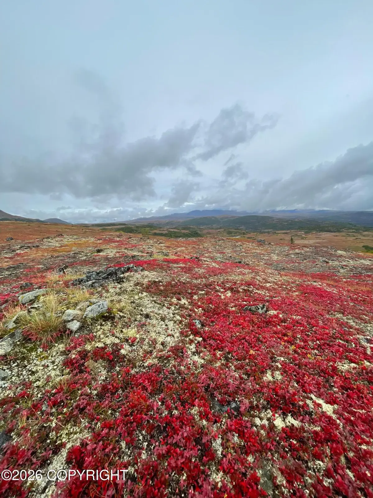 L4 Asls 80-176, Talkeetna, AK 99676 - #1