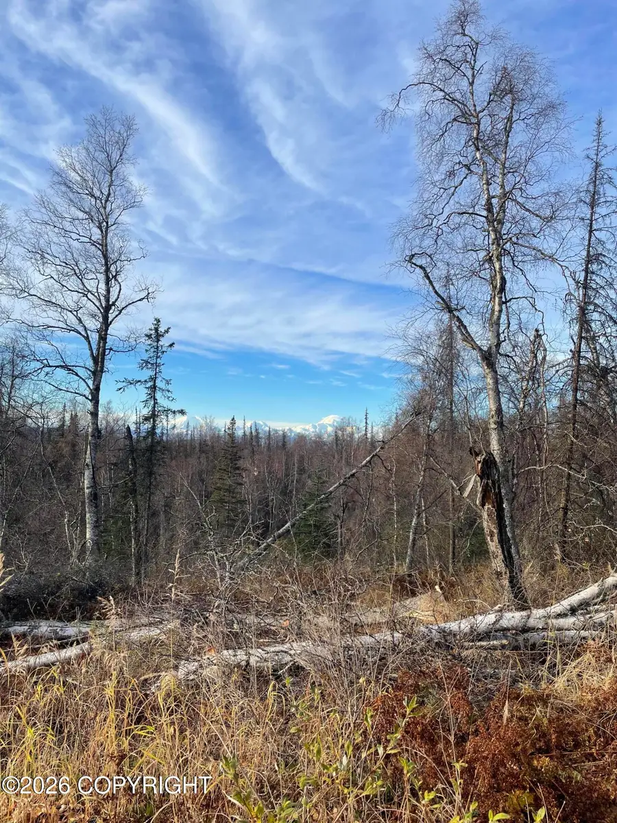 L4 Asls 80-176, Talkeetna, AK 99676 - #2