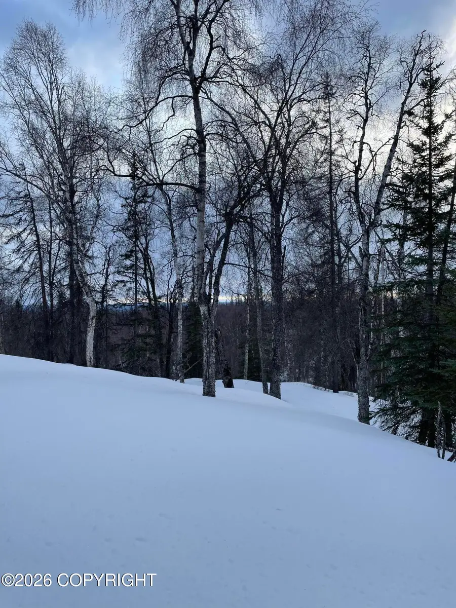 L4 Asls 80-176, Talkeetna, AK 99676 - #3