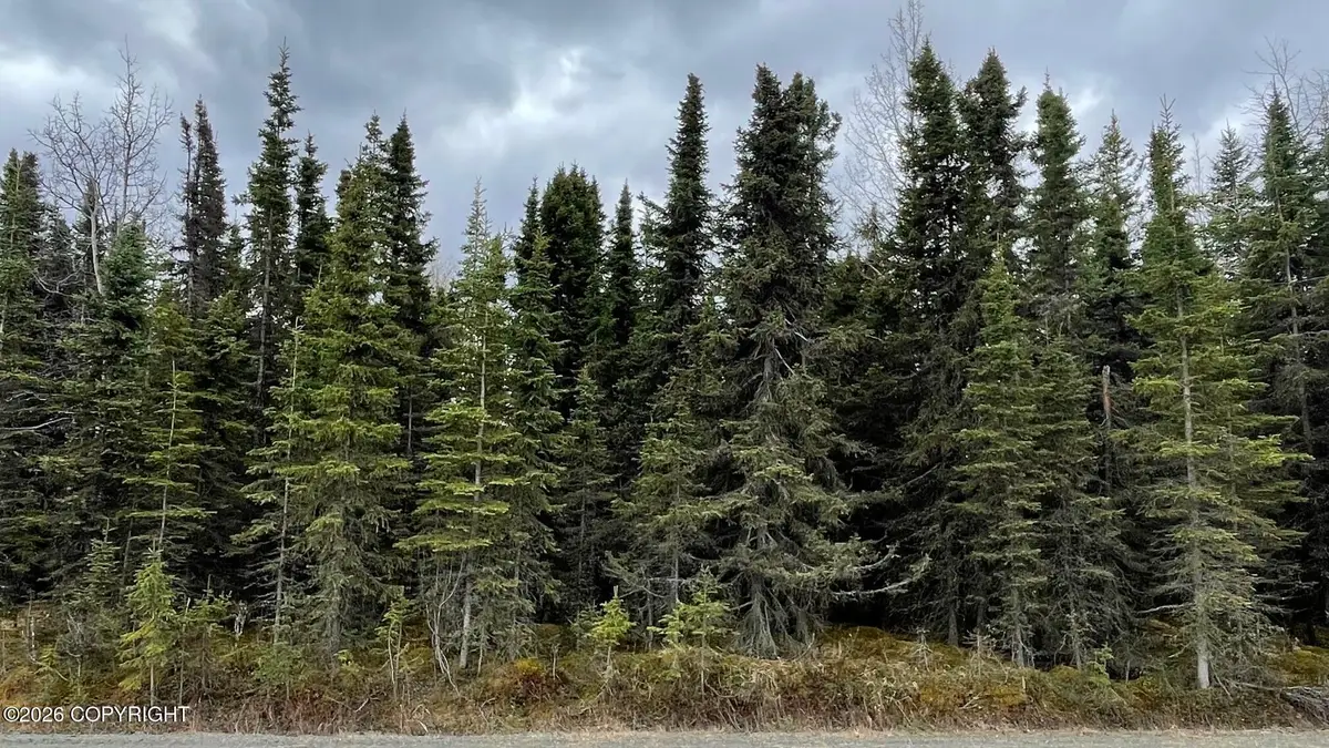 675 E Redoubt Avenue, Soldotna, AK 99669 - #1