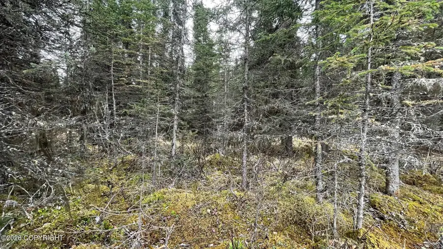 675 E Redoubt Avenue, Soldotna, AK 99669 - #2