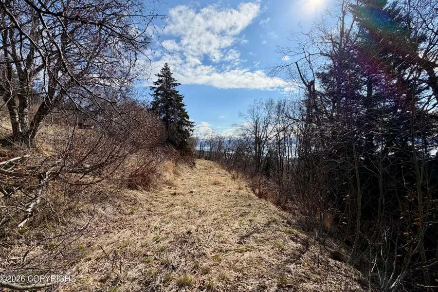 2740 Kestrel Lane, Homer, AK 99603 - #2