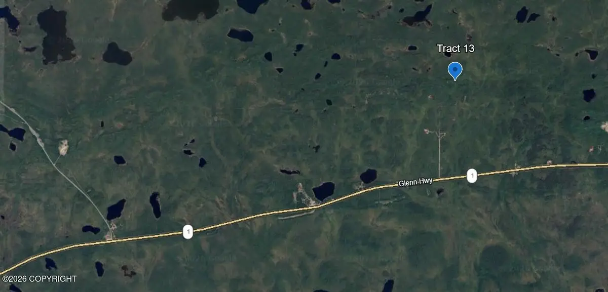 Trac 13 Aklandsurvey #2009-46, Chitina, AK 99566 - #1