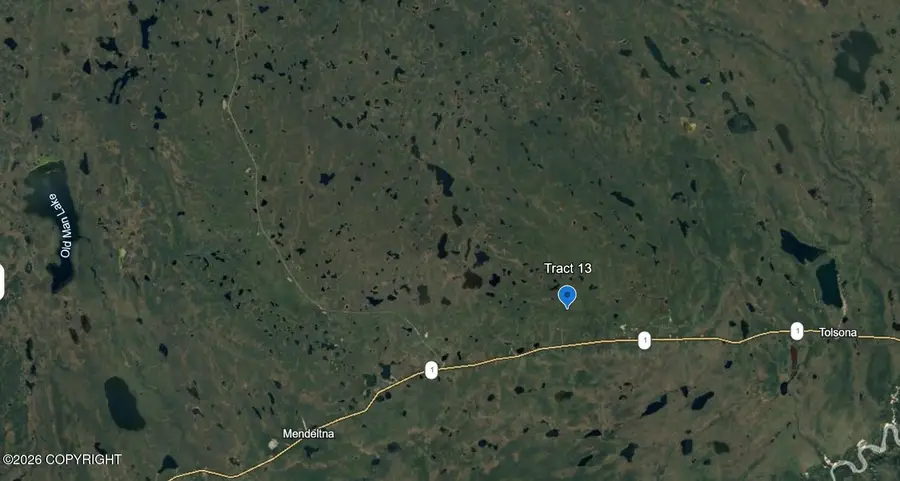 Trac 13 Aklandsurvey #2009-46, Chitina, AK 99566 - #3
