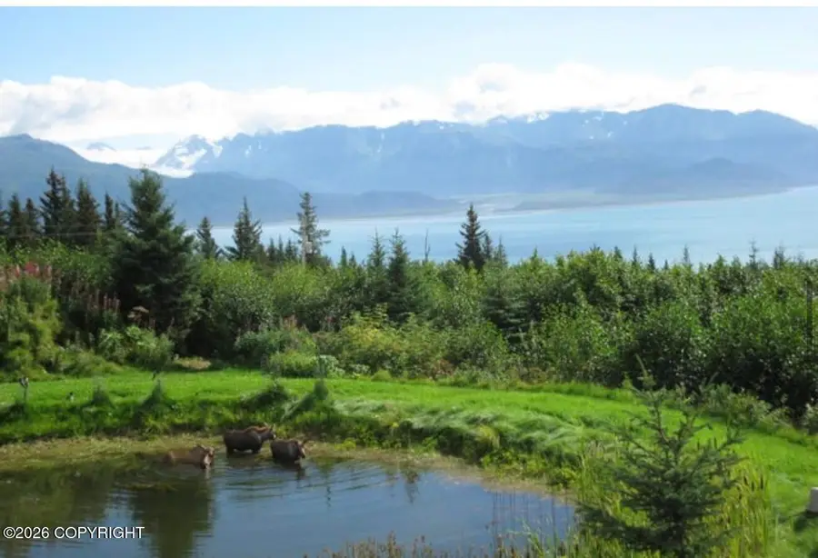 53635 Mcbride Avenue, Homer, AK 99603 - #2