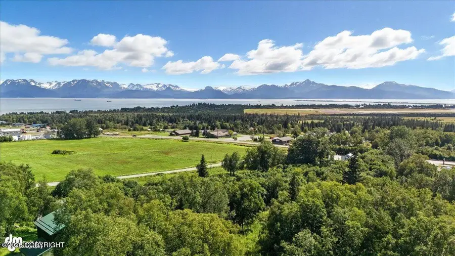 60389 Bryant Court, Homer, AK 99603 - #2