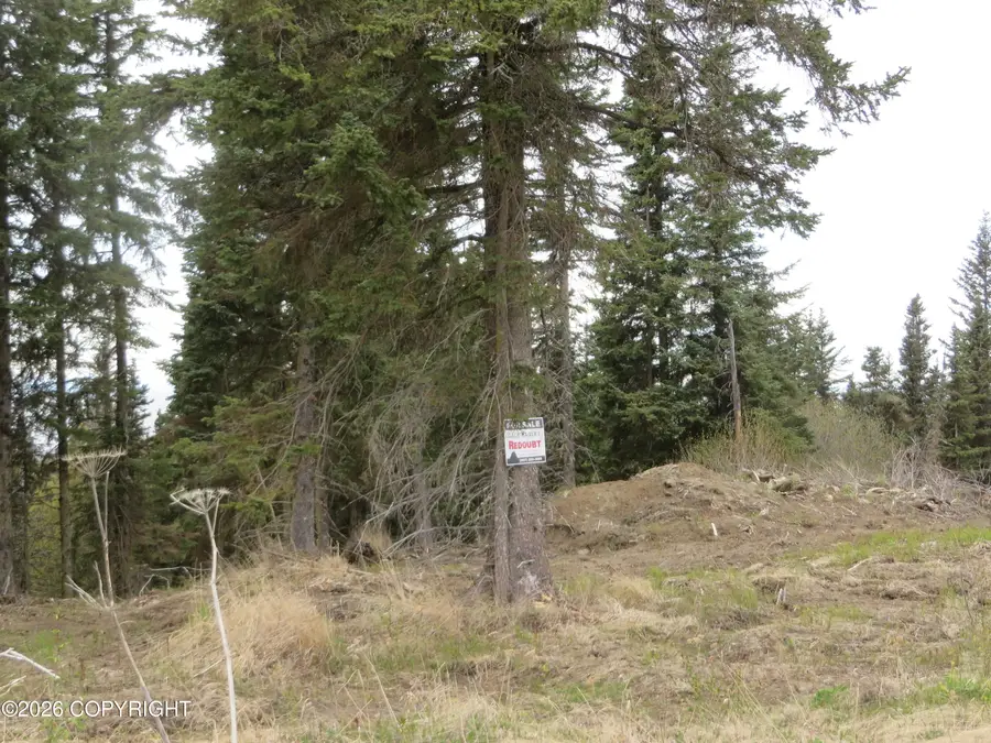 L2 Sterling Highway, Clam Gulch, AK 99568 - #2