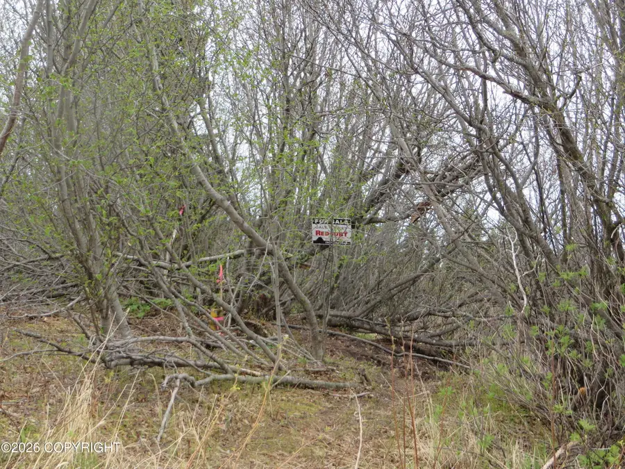 L3 Sterling Highway, Clam Gulch, AK 99568 - #2