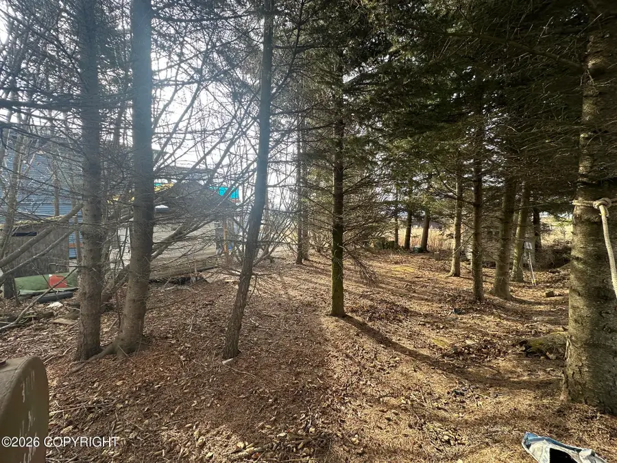 253 E Bunnell Avenue, Homer, AK 99603 - #3