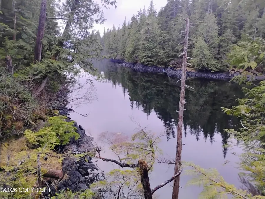 2A,2B,&3A Union Bay, Meyers Chuck, AK 99903 - Image #2