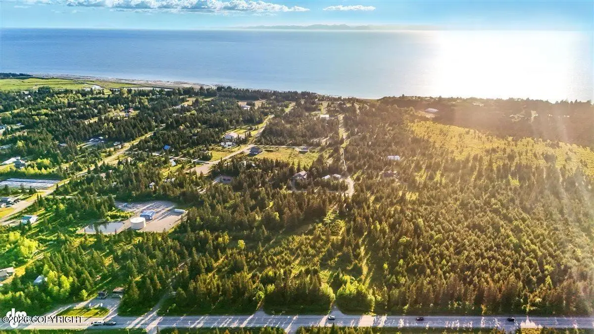 33045 Sterling Highway, Anchor Point, AK 99556 - #1