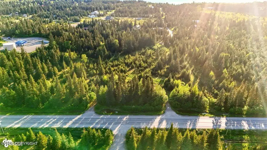 33045 Sterling Highway, Anchor Point, AK 99556 - #2