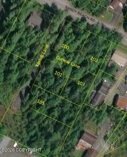 105 Karluk Lane, Petersburg, AK 99833 - #1