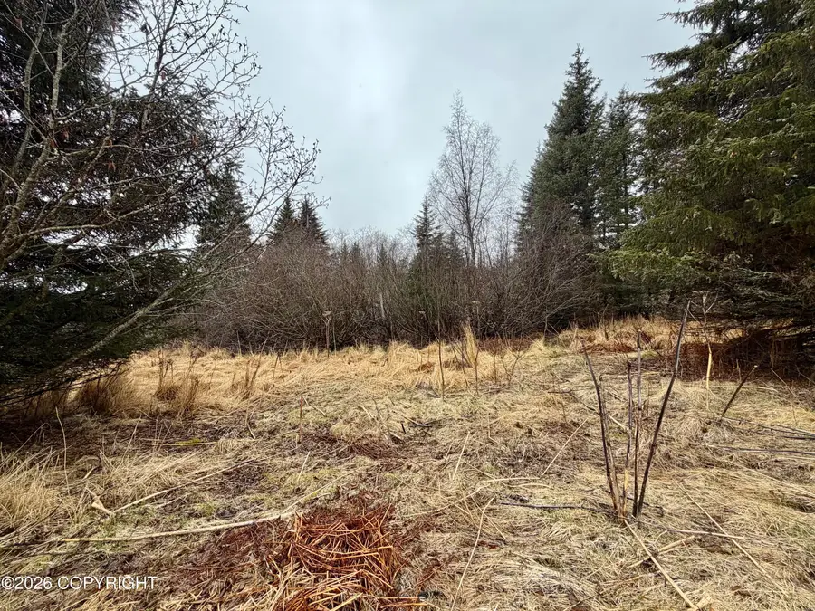 1611 E End Road, Homer, AK 99603 - #3