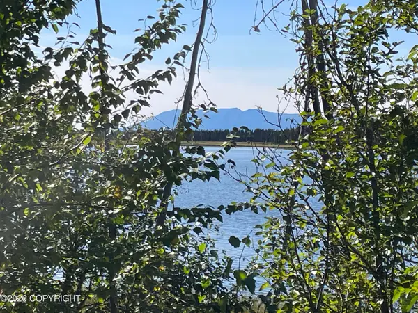 5280 S Horseshoe Lake Road, Big Lake, AK 99652