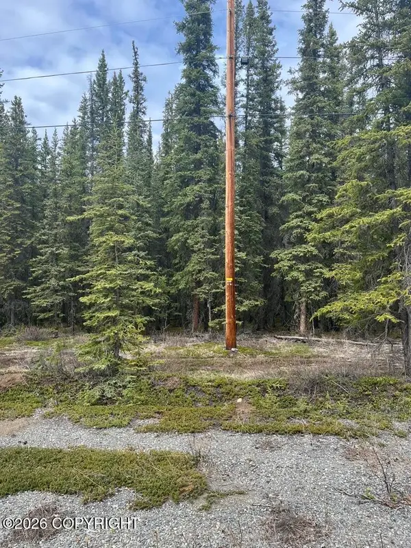 0 Tract L Block 5,survey # 77-16, Tok, AK 99780